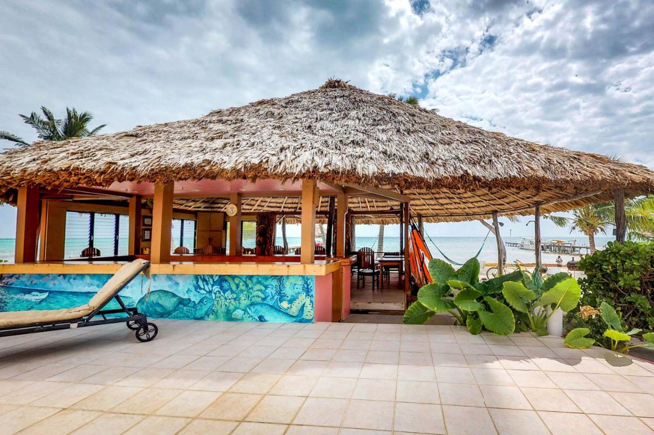 Palm @ Caribe Island Διαμέρισμα San Pedro  Εξωτερικό φωτογραφία